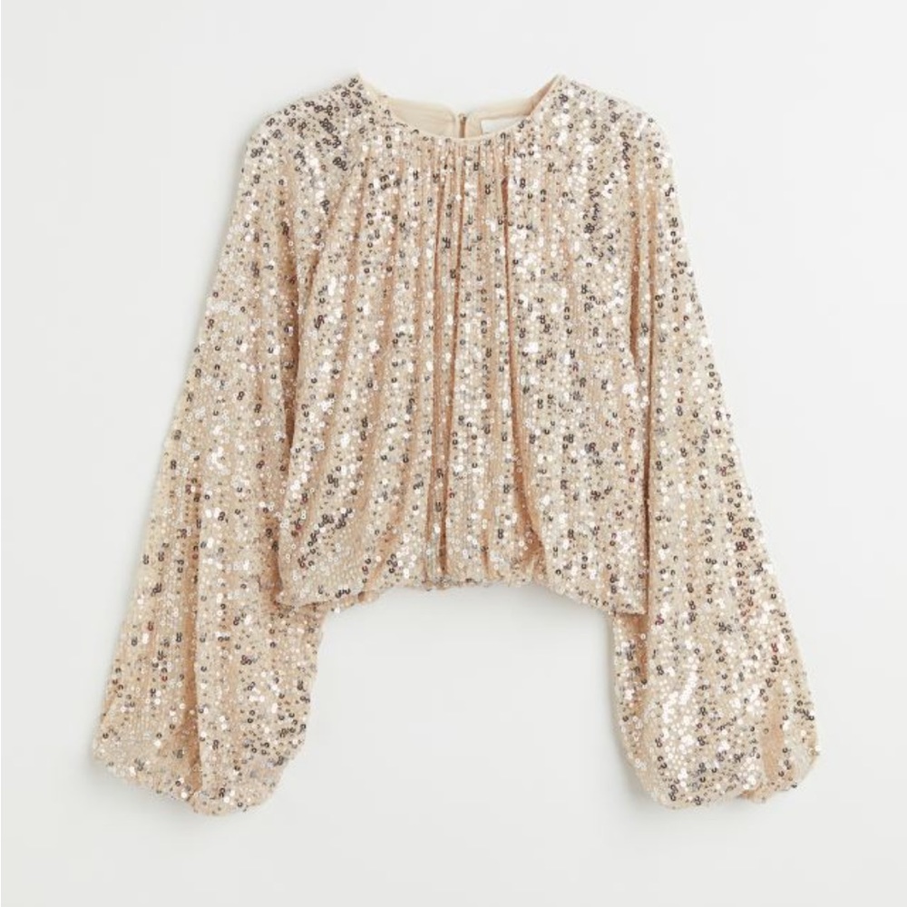 NWT sequin long balloon sleeve top